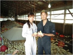 佐賀有明鶏2